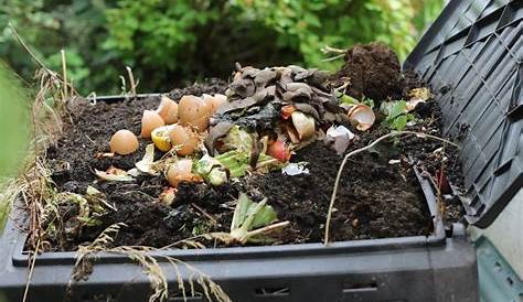 Compost Heap Stock Image B930/0002 Science Photo Library