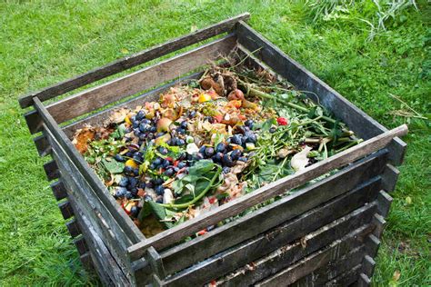 Compost Bin Disadvantages