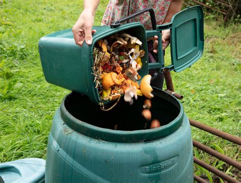 Compost Bin Hot