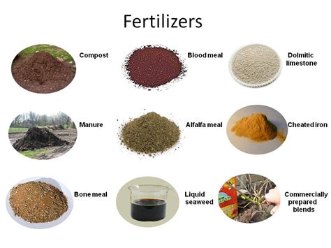 Compost Fertilizer Example