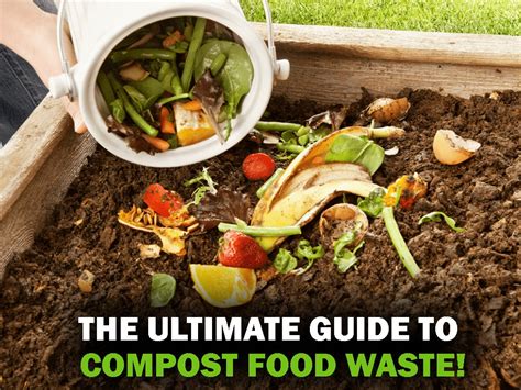 Compost Garden Waste Food