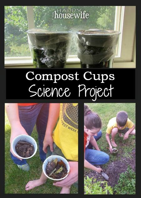 Compost In A Cup Science Project