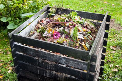 Compost Manure Examples