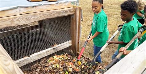 Compost Pit Activity