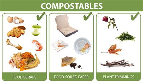 Compostable Waste Examples