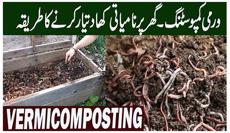 composting basics urdu/hindi YouTube