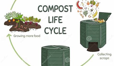 Composting Process Making Compost A Basic Tool For Organic Cultivation
