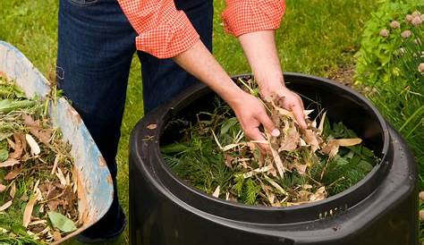 Things you need to know about composting in 2020 Reader