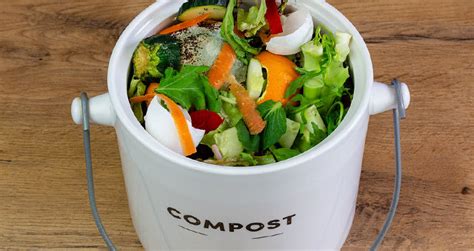 +26 Composting In The Kitchen Ideas