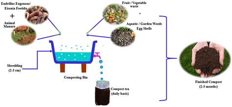 Composting Plant Process