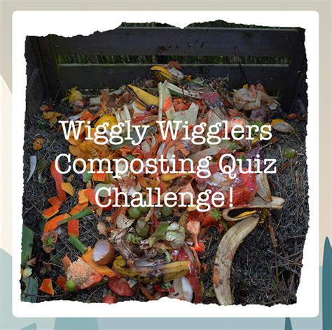 Composting Quiz