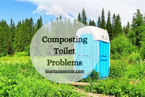 Composting Toilet Problems