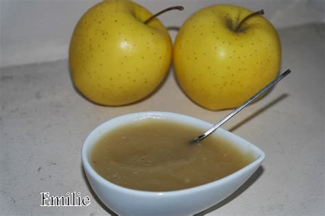 Compote De Pommes Soup Maker