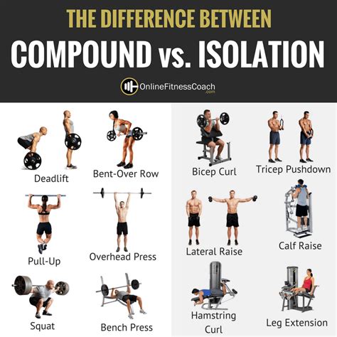 compound and isolation exercise examples