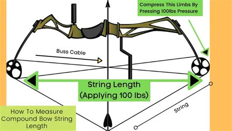 Compound Bow String Length
