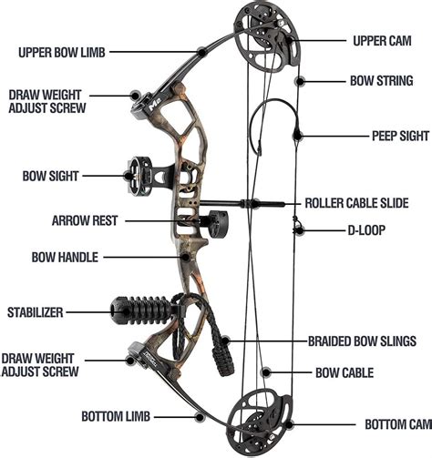 Compound Bow String Names