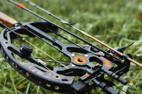 Compound Bow Vs Rust