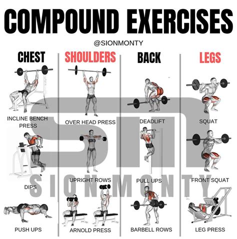 Compound Exercises For Chest And Back
