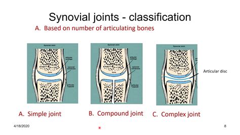 Compound Joint Definition Example