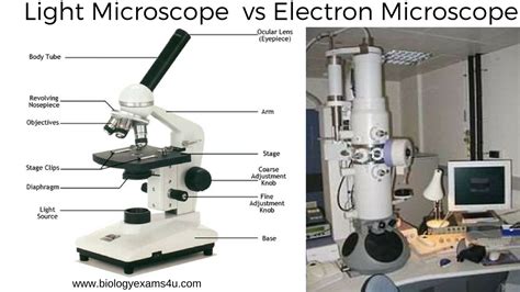 Compound Light Electron Microscope