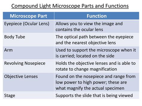 Compound Light Microscope Function