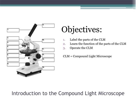 Compound Light Microscope Introduction