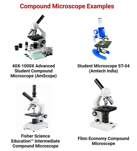 Compound Microscope And Example