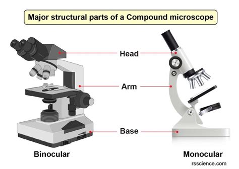Compound Microscope Base