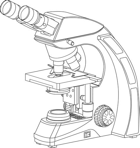 Compound Microscope Drawing Image