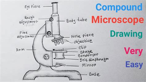 Compound Microscope Easy Drawing