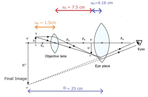 Compound Microscope Eyepiece Length