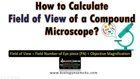Compound Microscope Field View