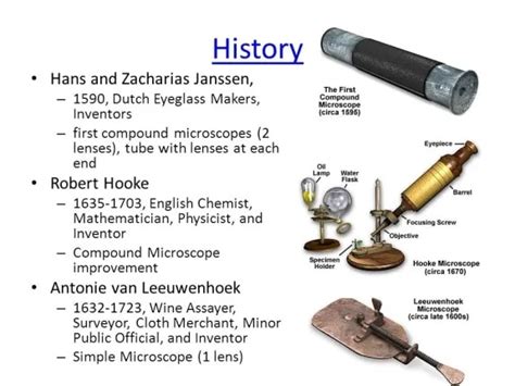 Compound Microscope History Facts