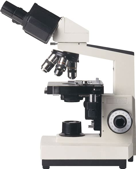 Compound Microscope In The Laboratory