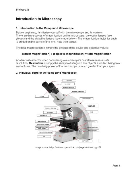 Compound Microscope Instructions