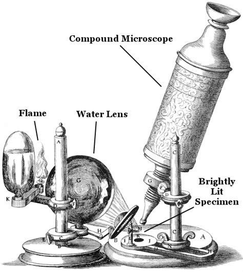 Compound Microscope Interesting Facts