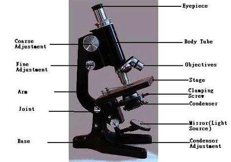 Compound Microscope Introduction