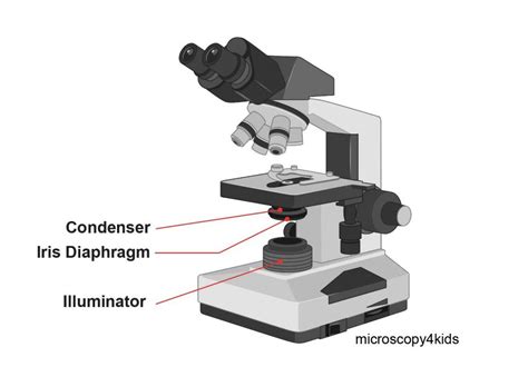 Compound Microscope Iris Diaphragm