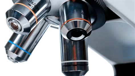 Compound Microscope Magnification Objective