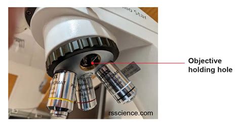 Compound Microscope Of Objectives