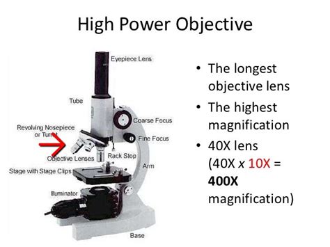 Compound Microscope Power Objective Function