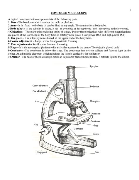 Compound Microscope Short Note
