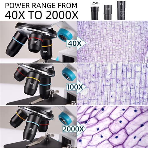 Compound Microscope Slides