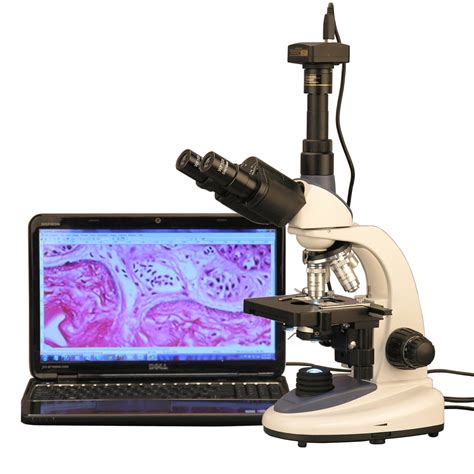 Compound Microscope With Digital Camera