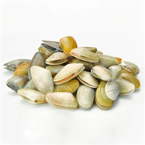 Verano, el momento de las coquinas de temporada, las 