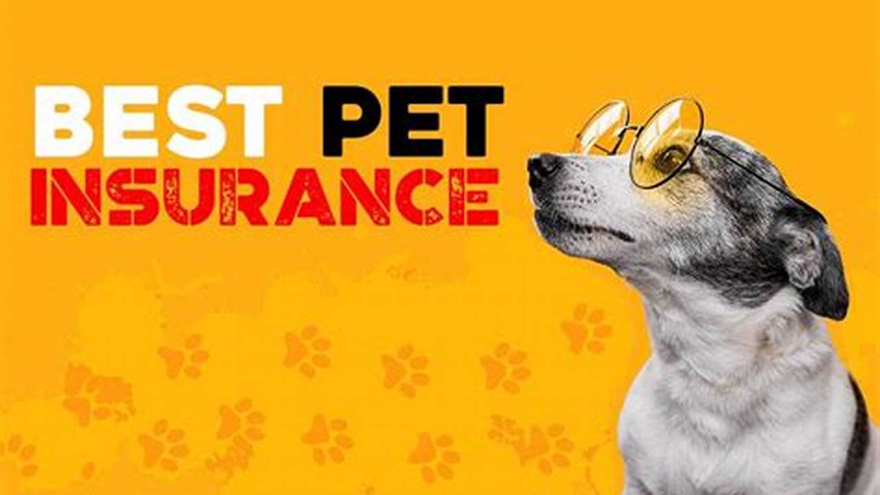 Unlock Peace of Mind: A Comprehensive Guide to Pet Insurance