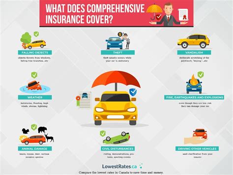 comprehensive damage auto insurance