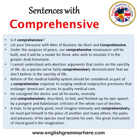 comprehensive in a sentence examples