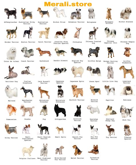 comprehensive list of dog breeds