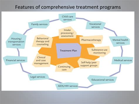 comprehensive treatment programs